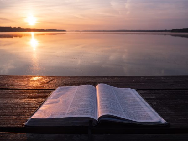 La Bibbia è troppo complicata per chi fa fatica a leggere?